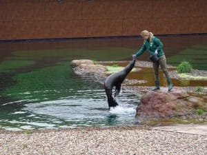 Zoo Wrocław Afrykarium