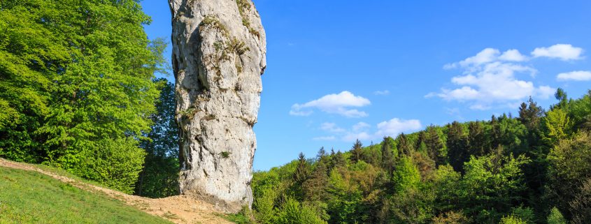 Wycieczki szkolne Energylandia