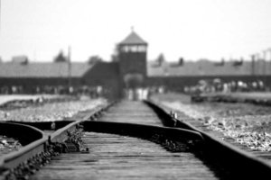 Wycieczka szkolna Kraków i Oświęcim - 2 dni, Muzeum Auschwitz Birkenau