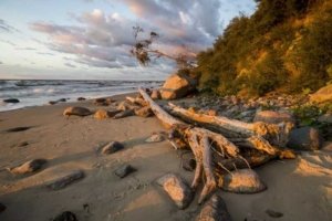 Zielona szkoła Pomorze Zachodnie, wybrzeże Bałtyku